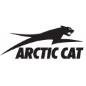 Arctic Cat