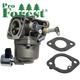kaasutin - Briggs & Stratton ( 597126 )