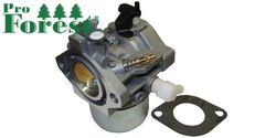 kaasutin - Briggs & Stratton ( 699831 )