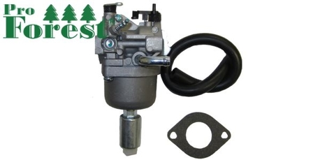 kaasutin - Briggs & Stratton kaasutin - Briggs & Stratton