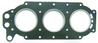 kannentiiviste - Evinrude / Johnson 60hp - 75hp ( 3-sylinteriset )