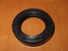stefa ( 25x55x10mm ) - Goes